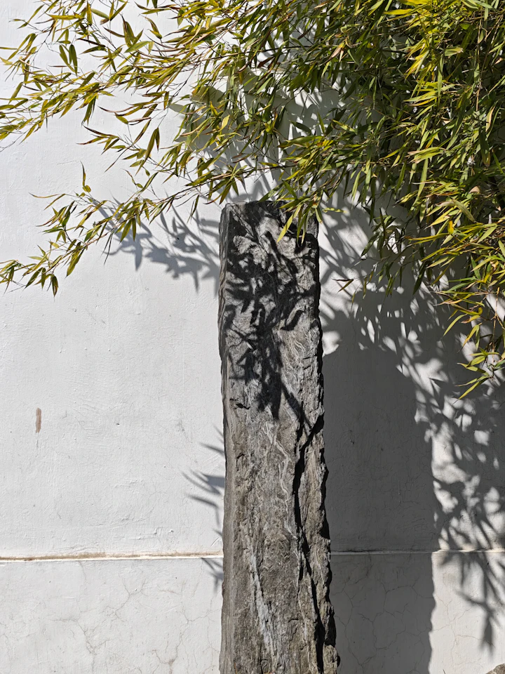 Courtyard wall