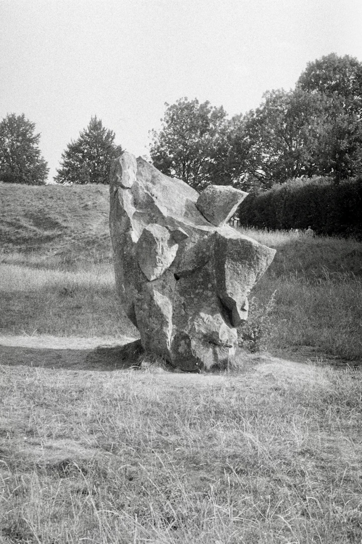 Sculpture garden